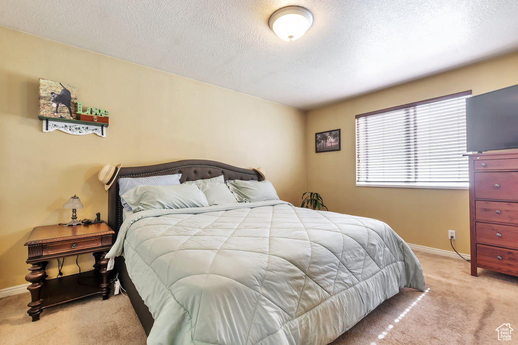 Bedroom with carpet and a textured ceiling