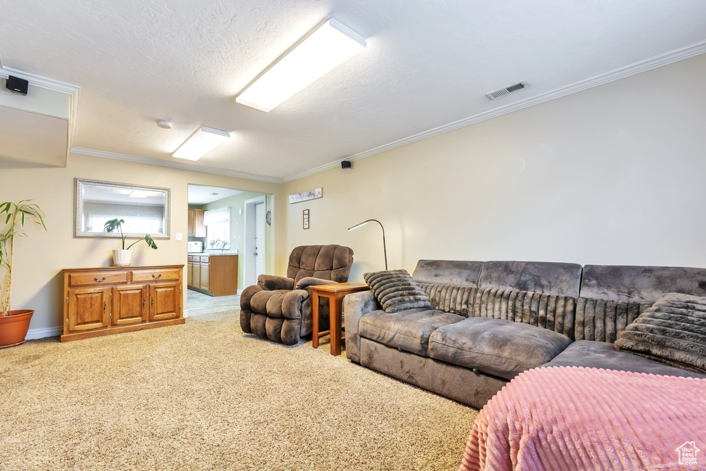 Living area featuring crown molding and light colored carpet
