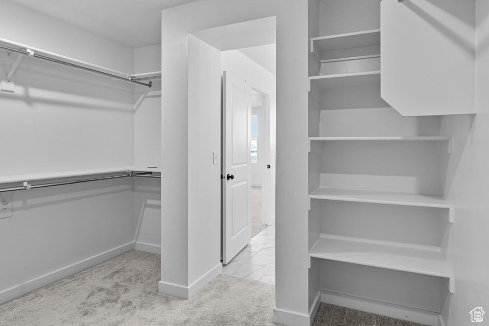 Spacious closet featuring carpet floors