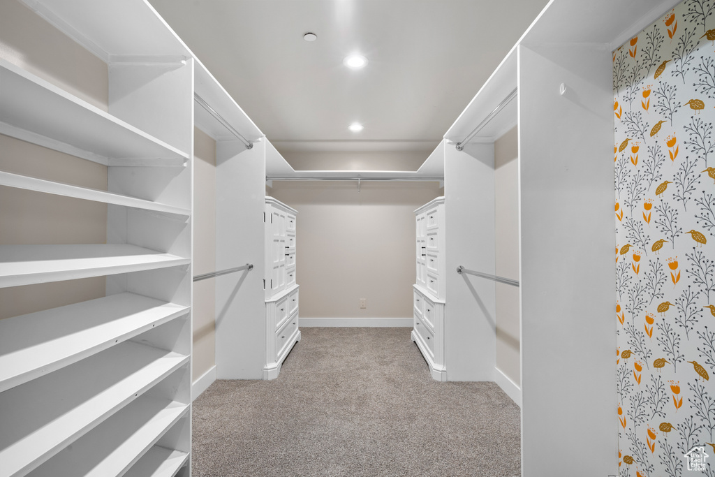 Walk in closet with light carpet