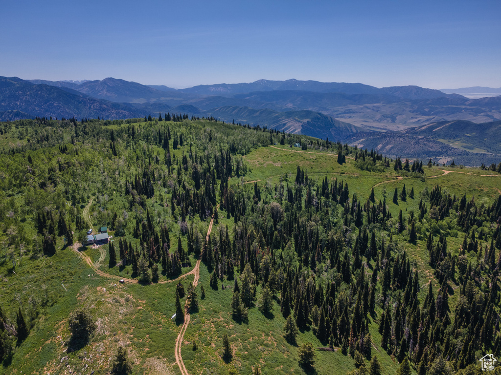 View of mountain background with a forest