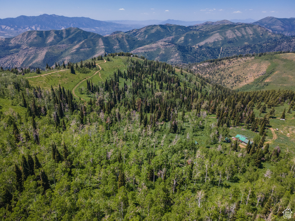 View of mountain backdrop featuring a heavily wooded area