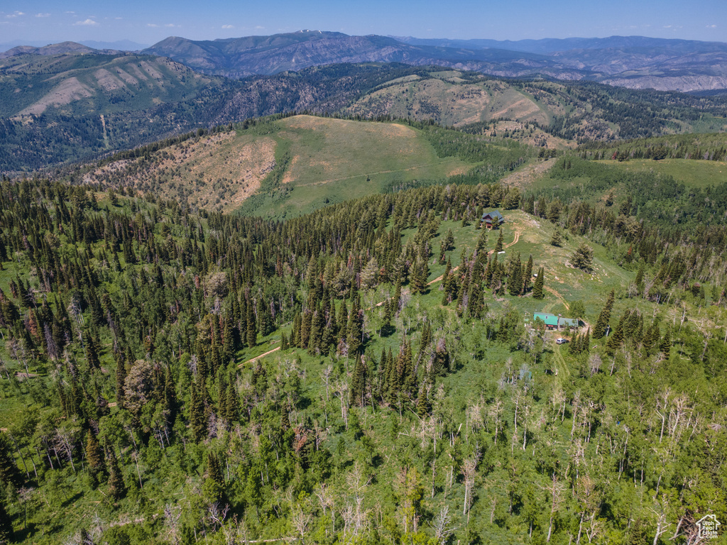 Mountain view featuring a forest