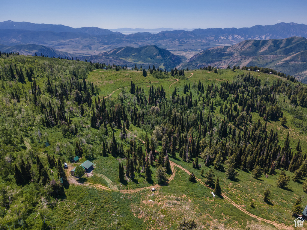 Bird\'s eye view of mountains and a forest