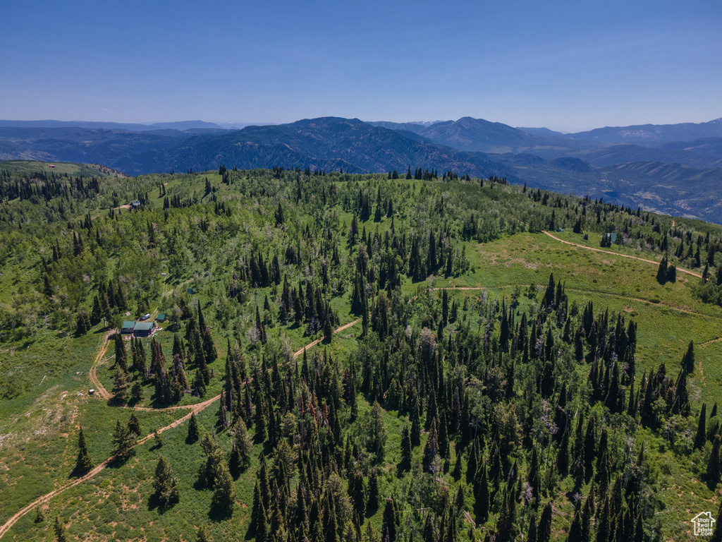 View of mountain background with a forest