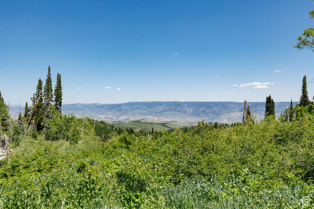 View of mountain background
