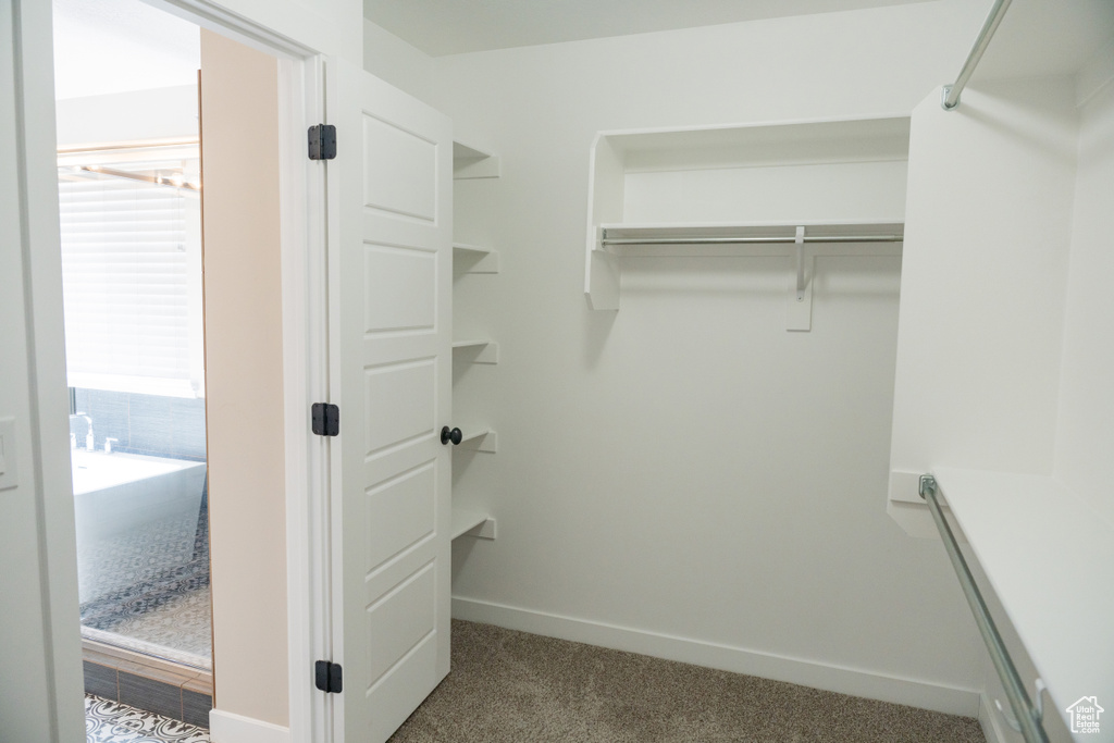 Spacious closet with carpet