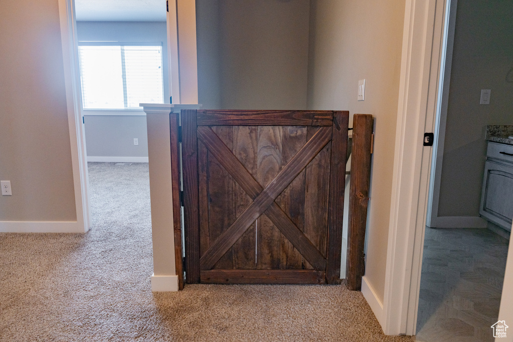 Detailed view of carpet and a gate