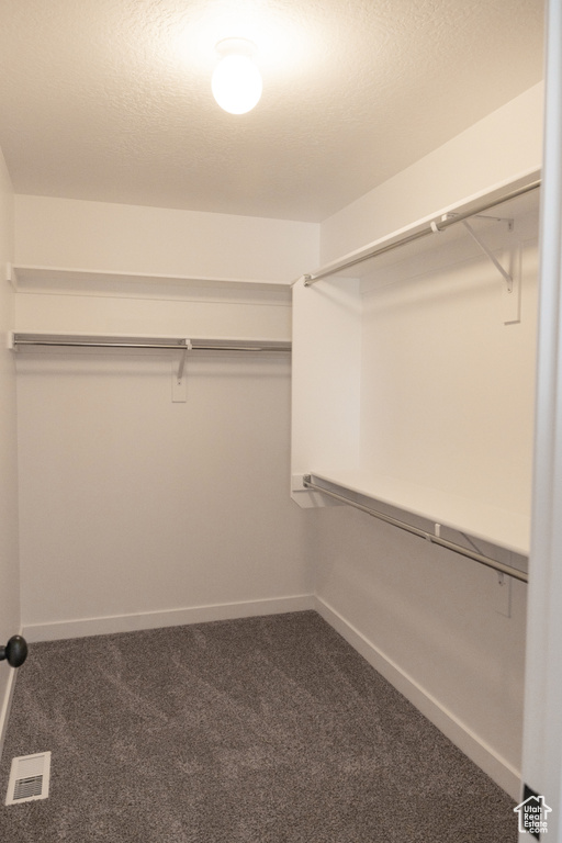 Walk in closet featuring carpet