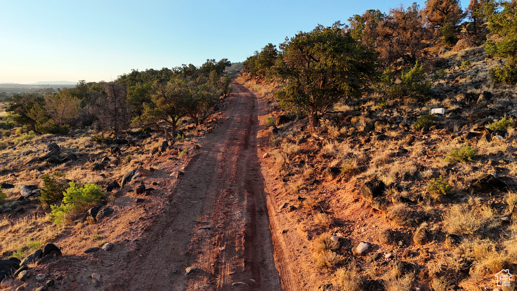 View of road with a view of rural / pastoral area