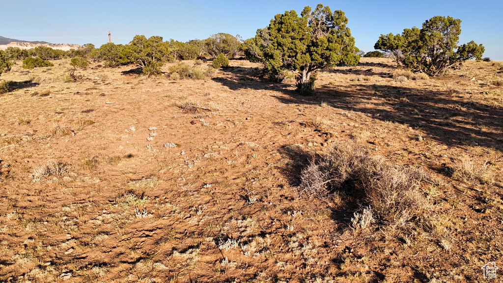 View of local wilderness with rural landscape