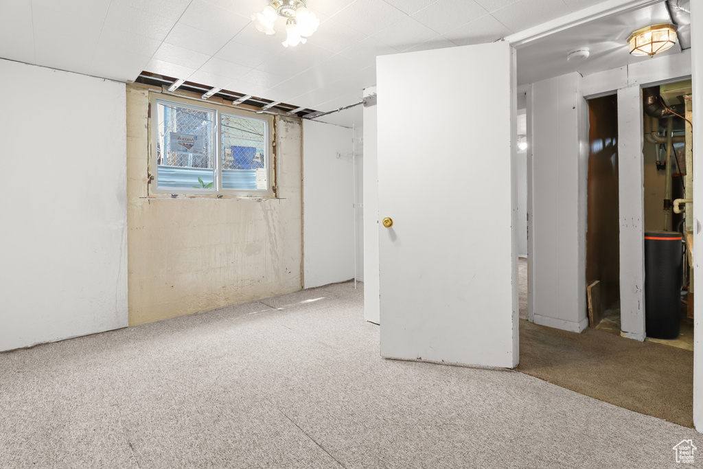 Basement featuring carpet