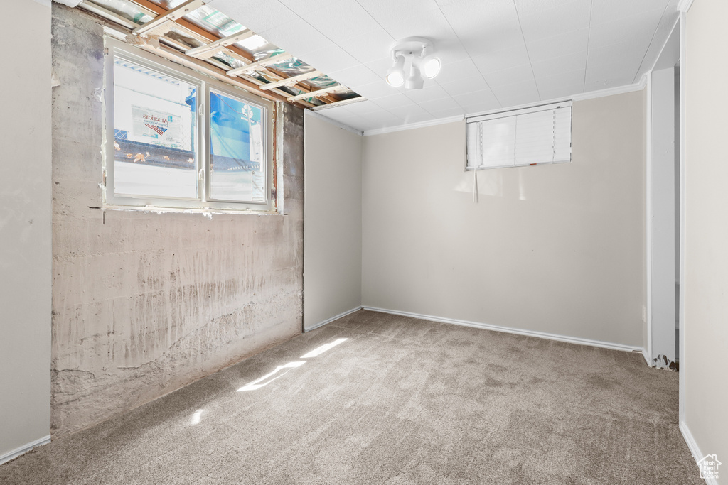 Below grade area with carpet flooring and ornamental molding