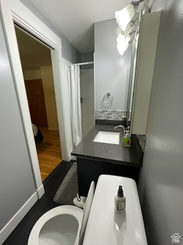 Bathroom featuring a shower with shower curtain, wood finished floors, and vanity