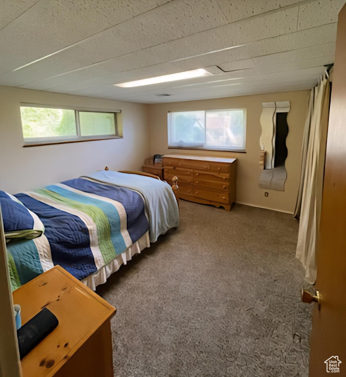 Carpeted bedroom with multiple windows
