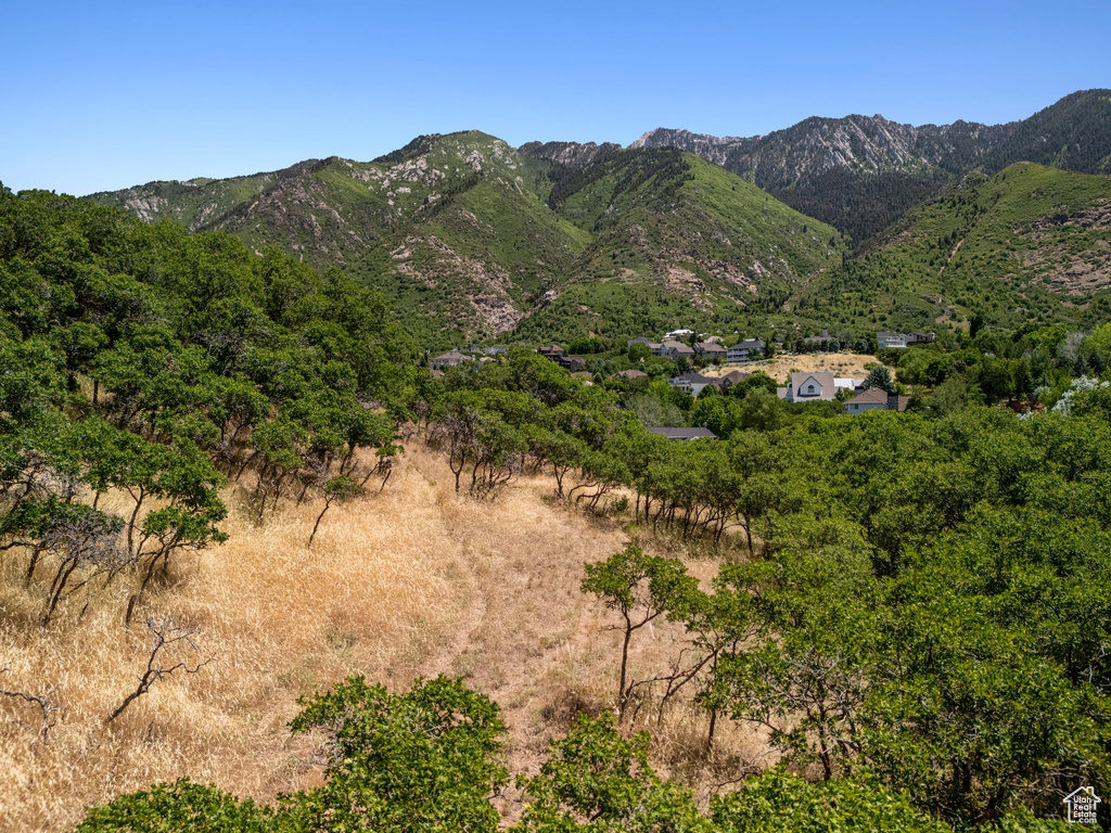 Mountain view