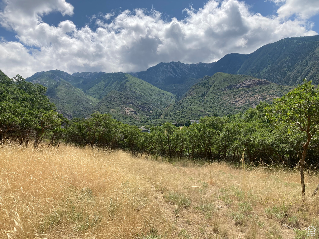 View of mountain backdrop
