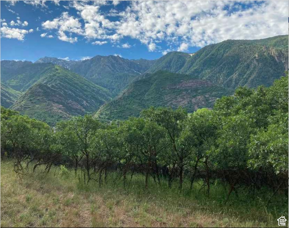 View of mountain backdrop