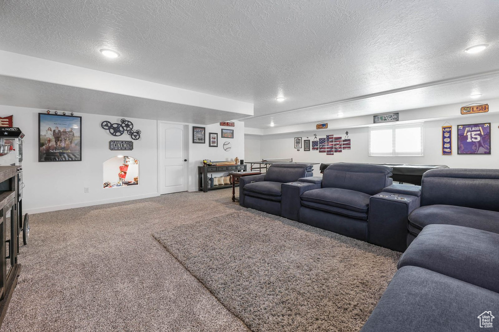 Carpeted cinema with a textured ceiling and bar