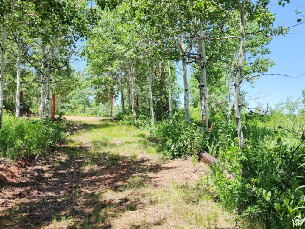 11829 FALCON PT #H21 Huntsville, UT 84317