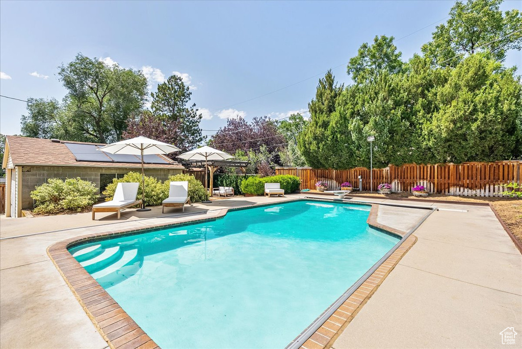 View of swimming pool featuring a patio area, a fenced backyard, and a diving board