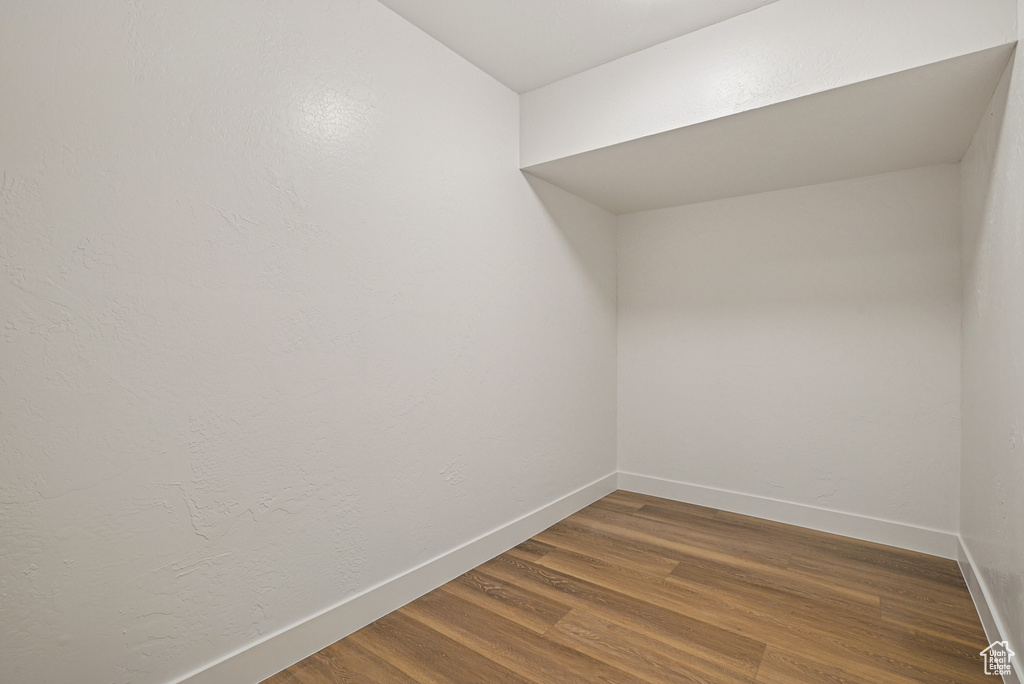 Spacious closet featuring dark wood-style flooring