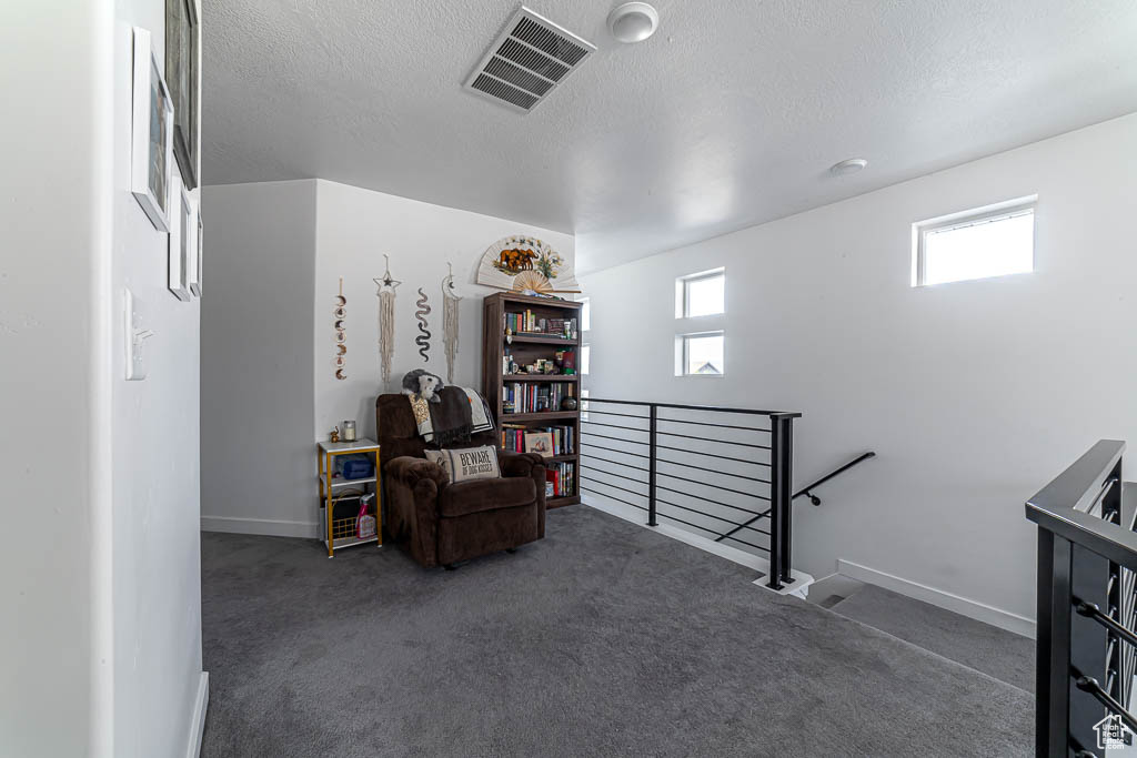 Sitting room with an upstairs landing, carpet flooring, and a textured ceiling
