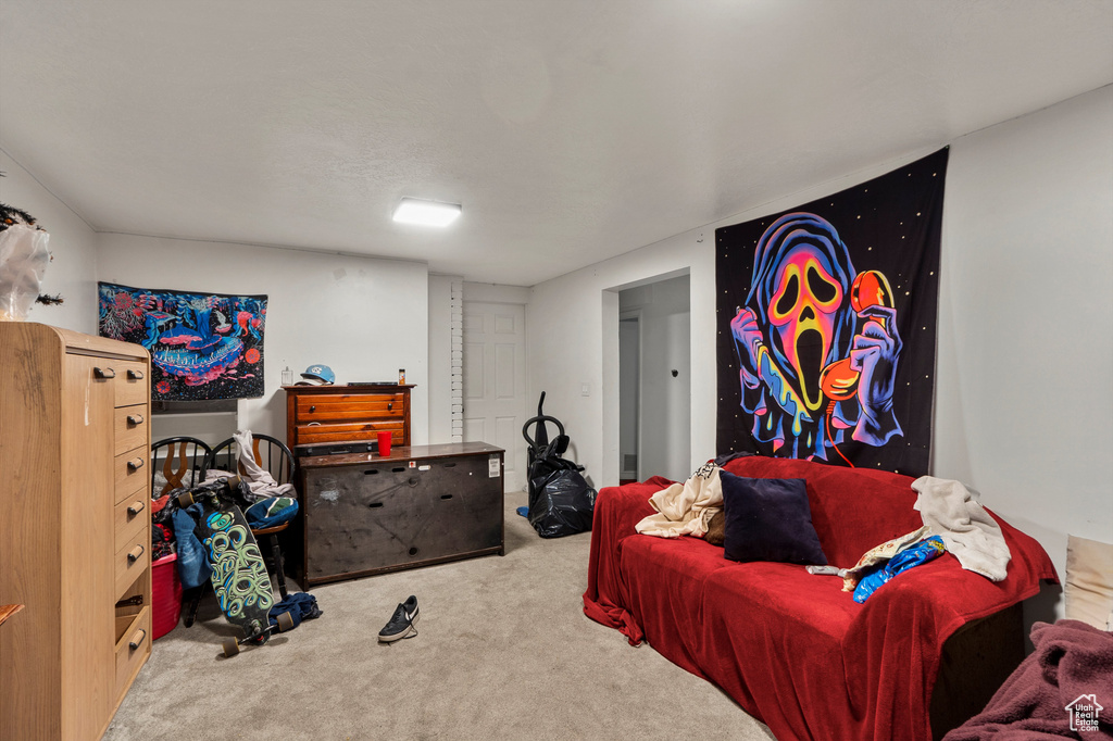 Recreation room featuring carpet floors