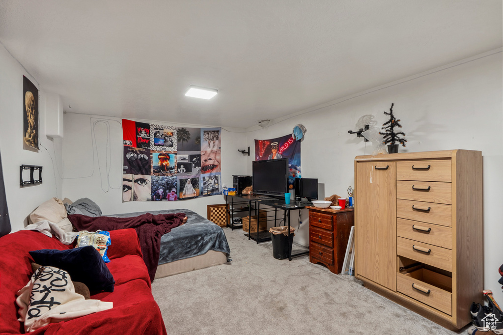 Bedroom with carpet floors
