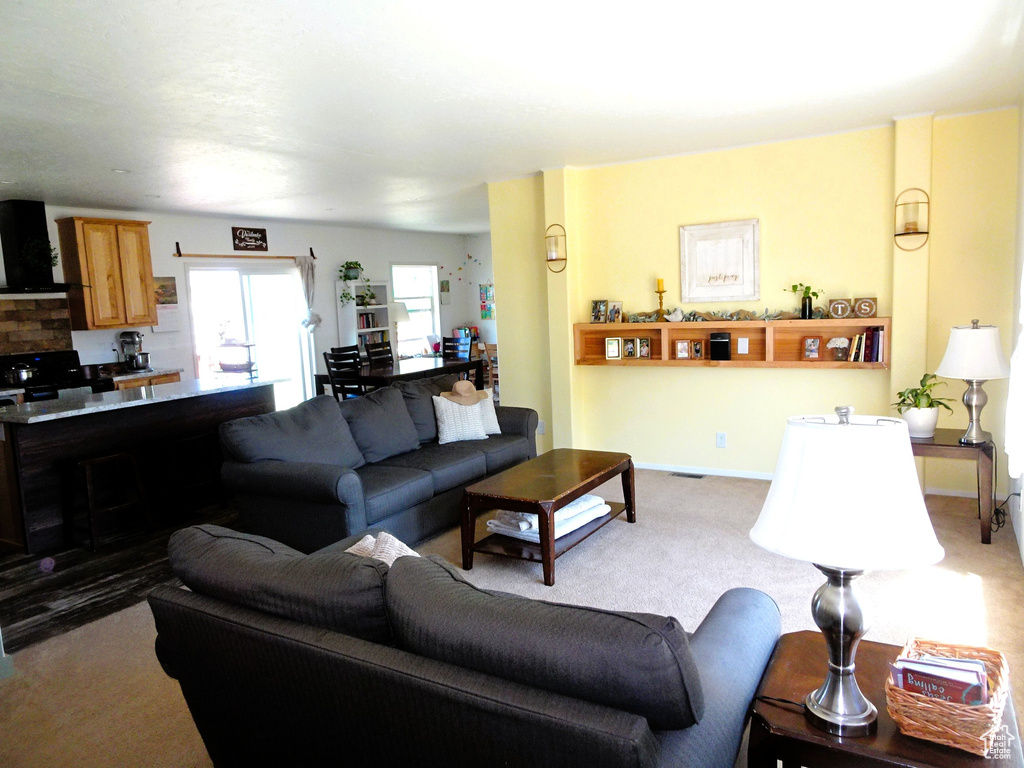 Living room with carpet floors