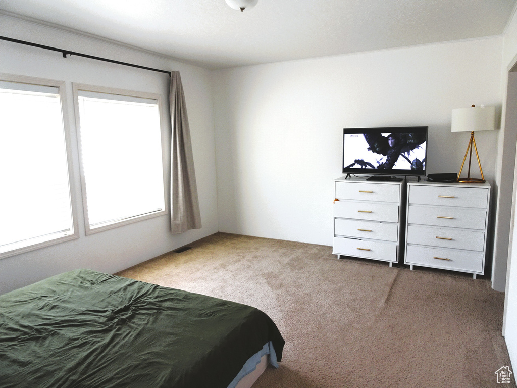 Bedroom featuring carpet