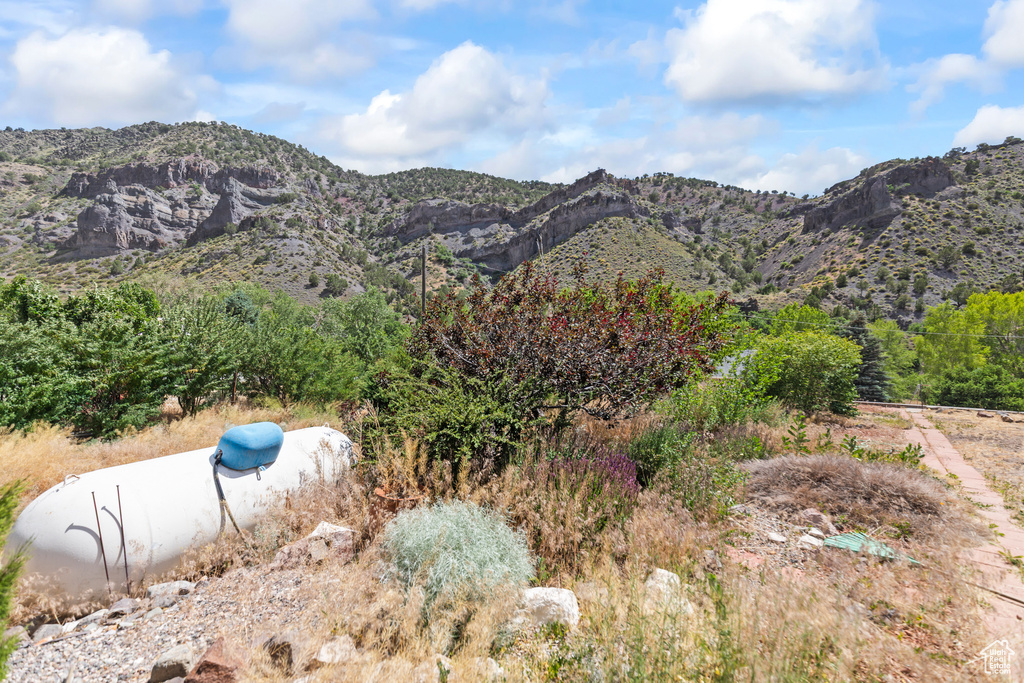 View of mountain background