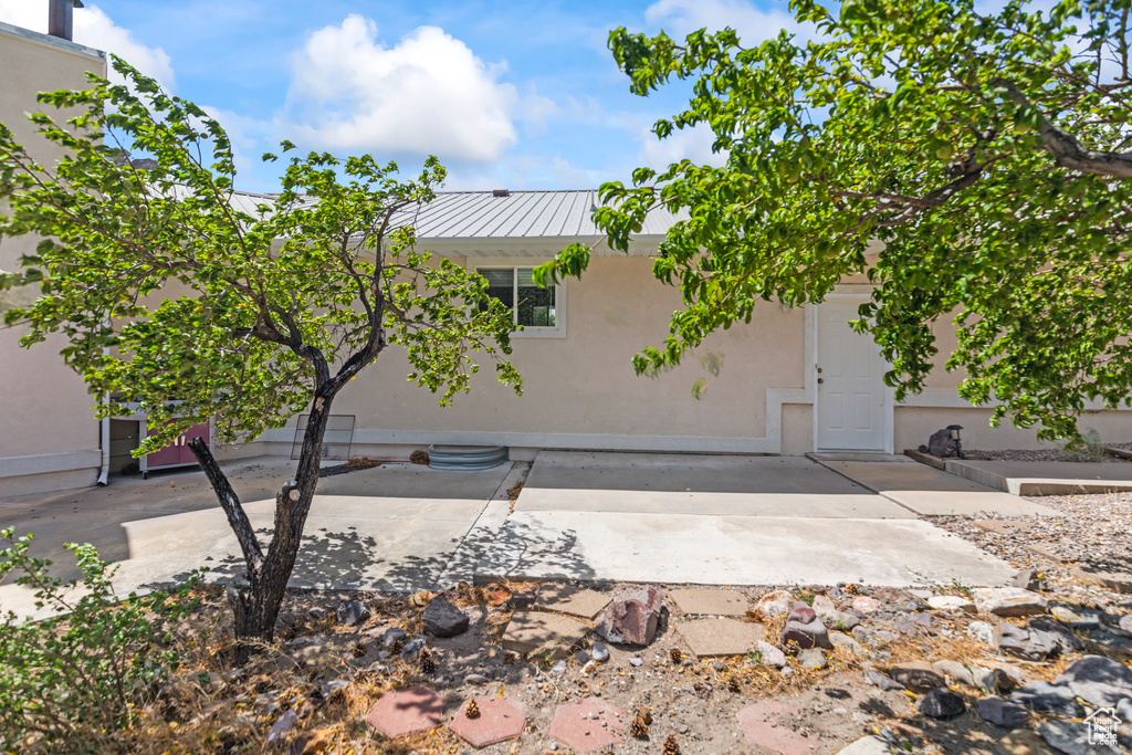 Rear view of house with a patio area, stucco siding, and a metal roof