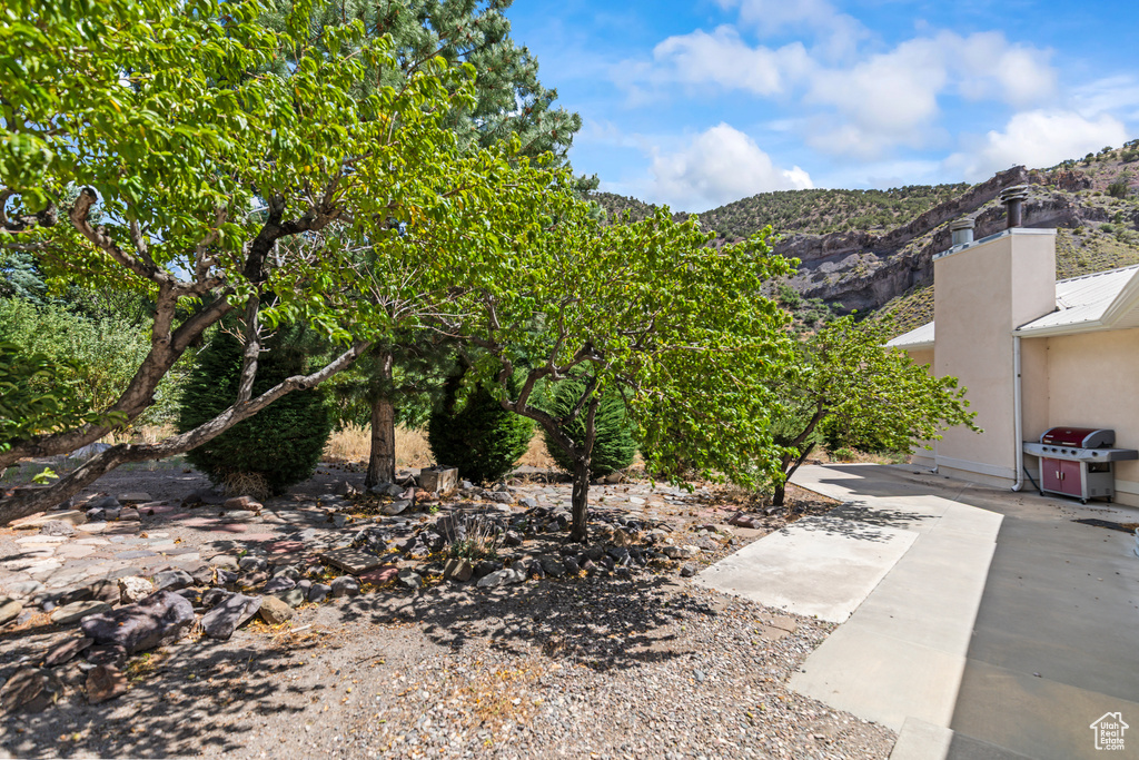 View of yard with a mountain view and a patio