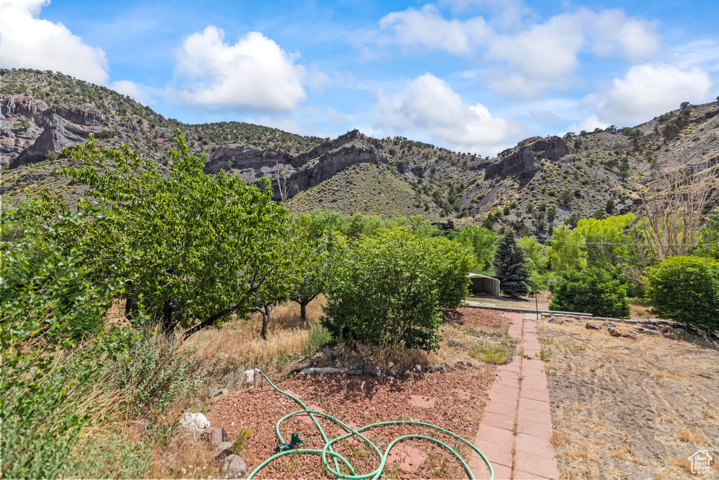 View of mountain background