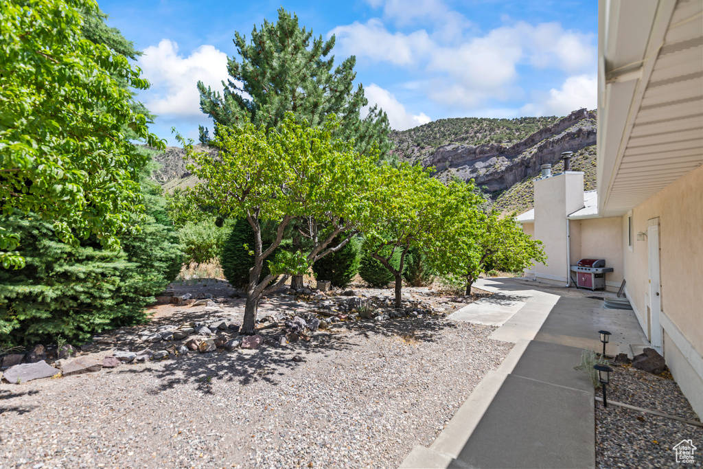 View of yard featuring a mountain view and a patio