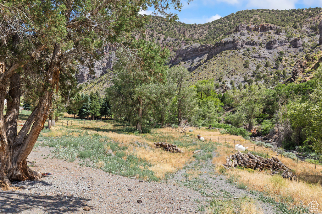 View of mountain background