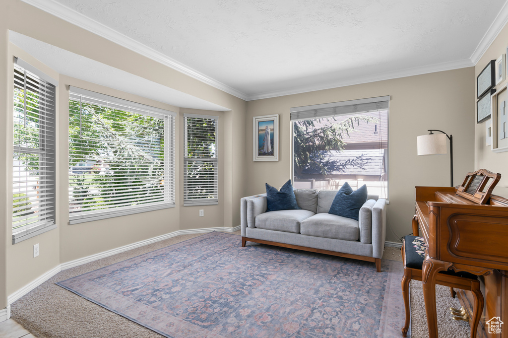 12363 S 3825 W Riverton, UT 84065