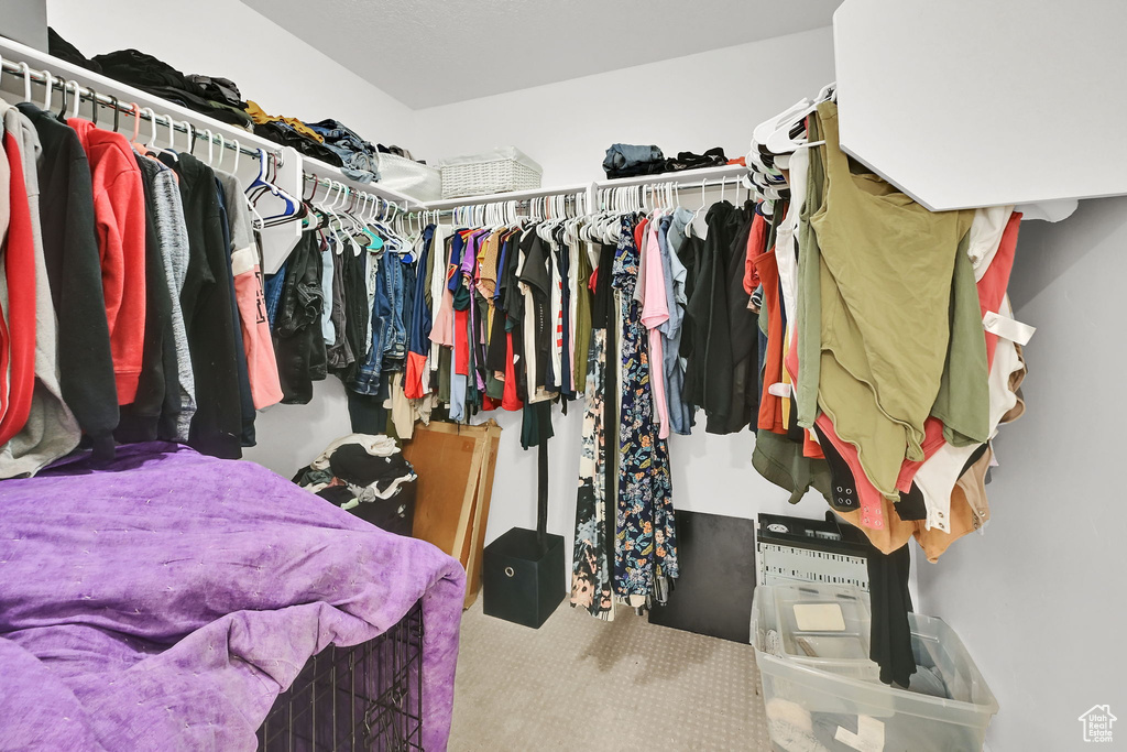 Walk in closet featuring carpet