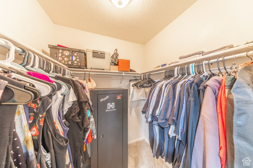 Spacious closet with carpet floors