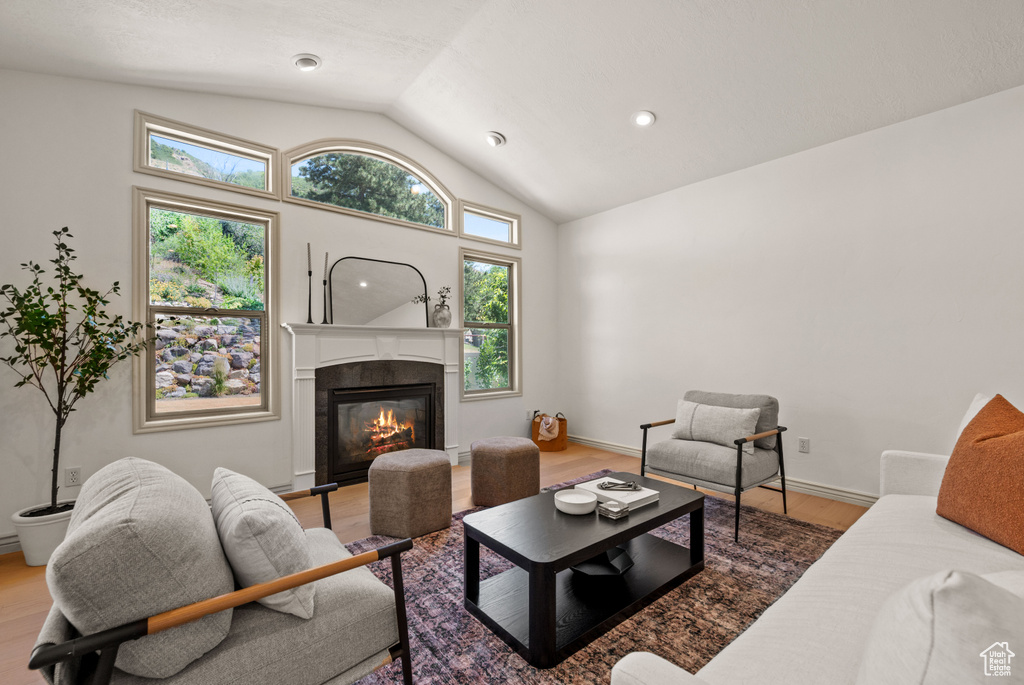 Living room featuring vaulted ceiling, wood finished floors, and a glass covered fireplace