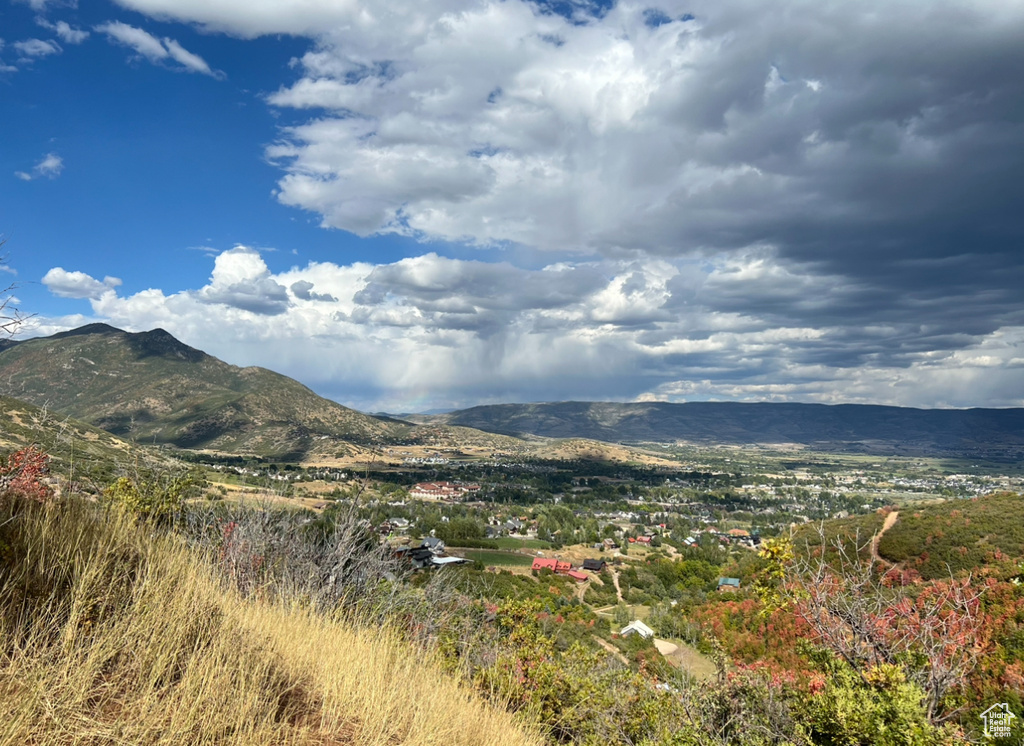1441  BERRYS WAY Midway, UT 84049