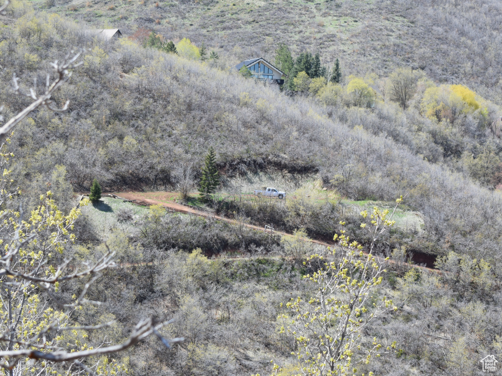 1441  BERRYS WAY Midway, UT 84049