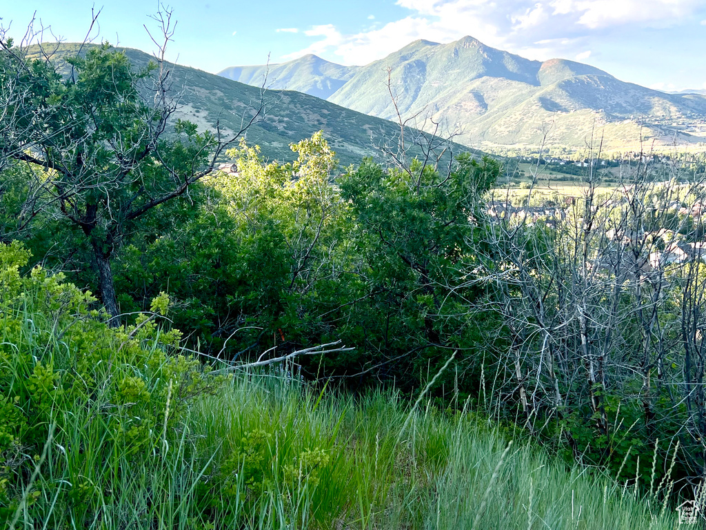 1429  BERRIES WAY Midway, UT 84049
