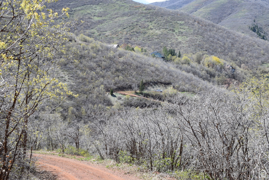 1429  BERRIES WAY Midway, UT 84049