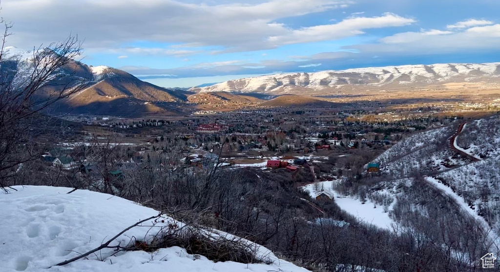 1429  BERRIES WAY Midway, UT 84049