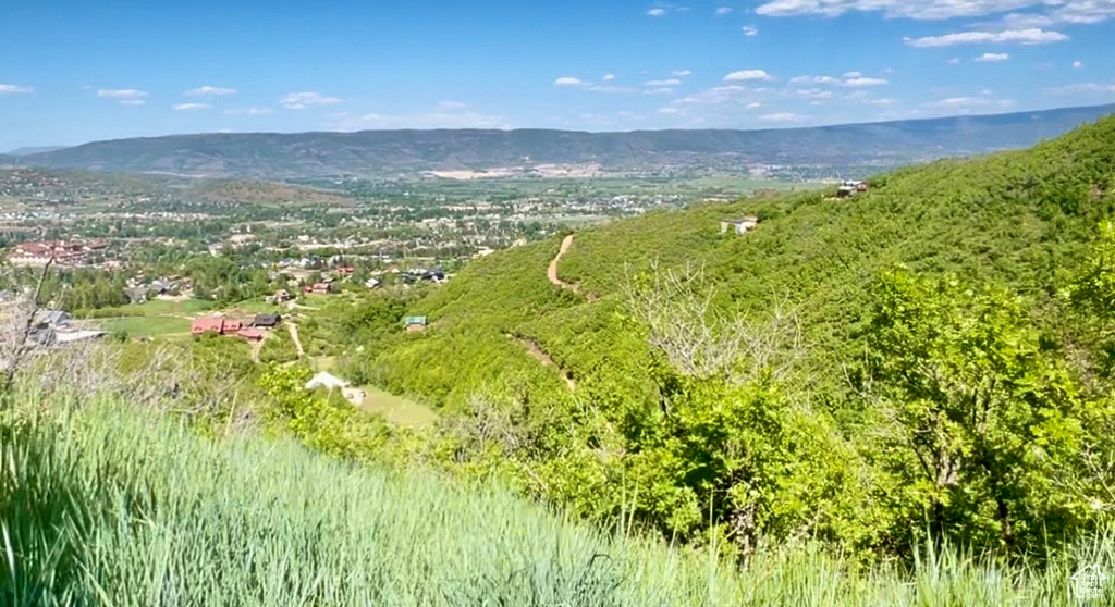 1429  BERRIES WAY Midway, UT 84049