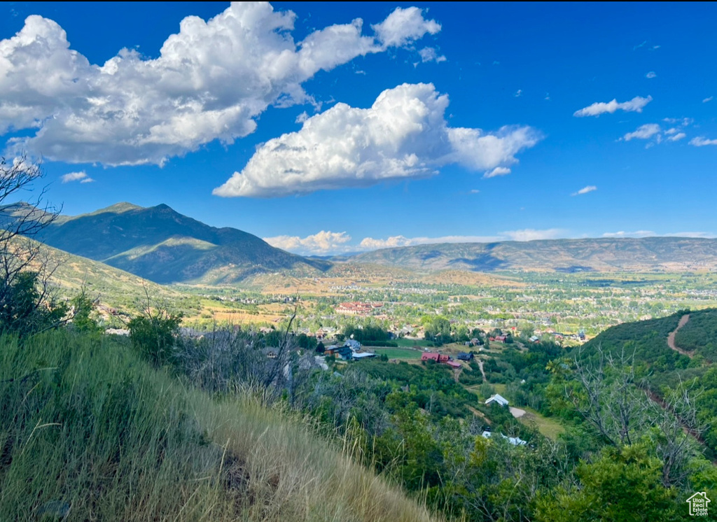 1429  BERRIES WAY Midway, UT 84049