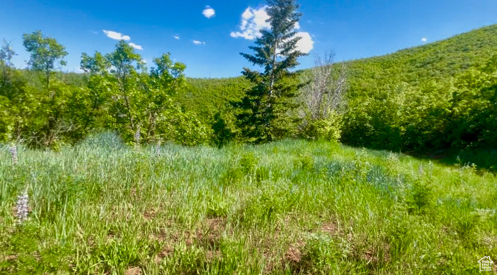1429  BERRIES WAY Midway, UT 84049