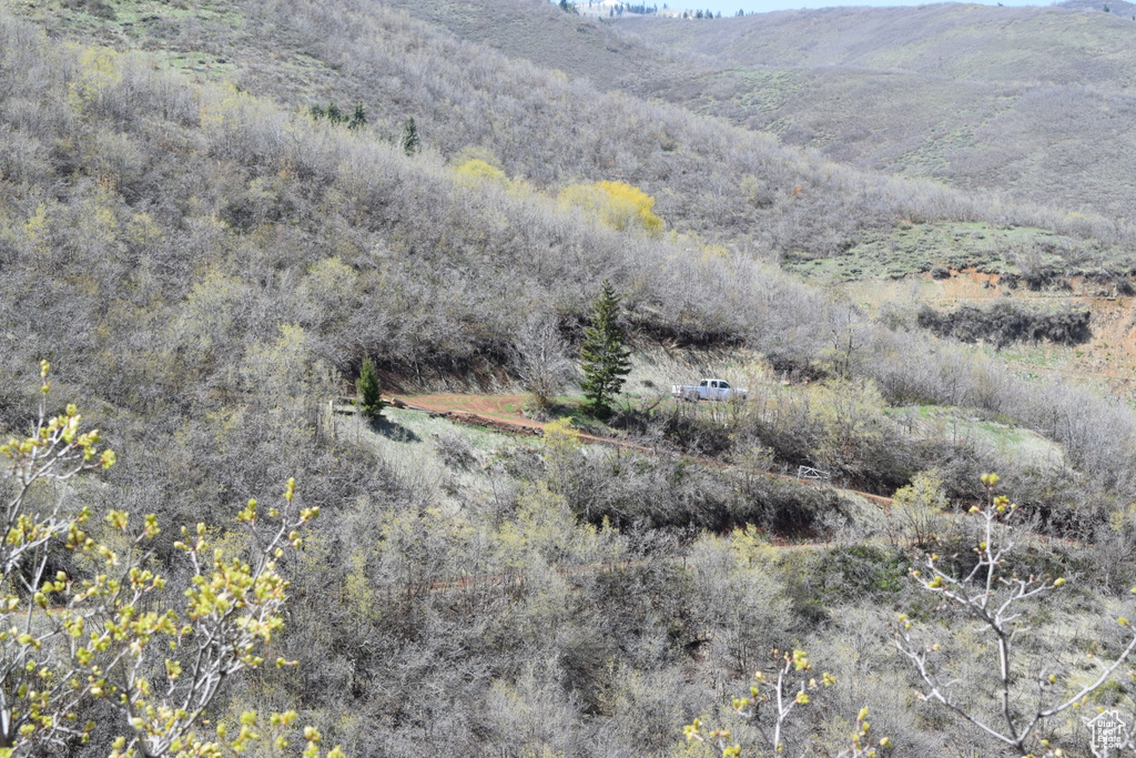1429  BERRIES WAY Midway, UT 84049